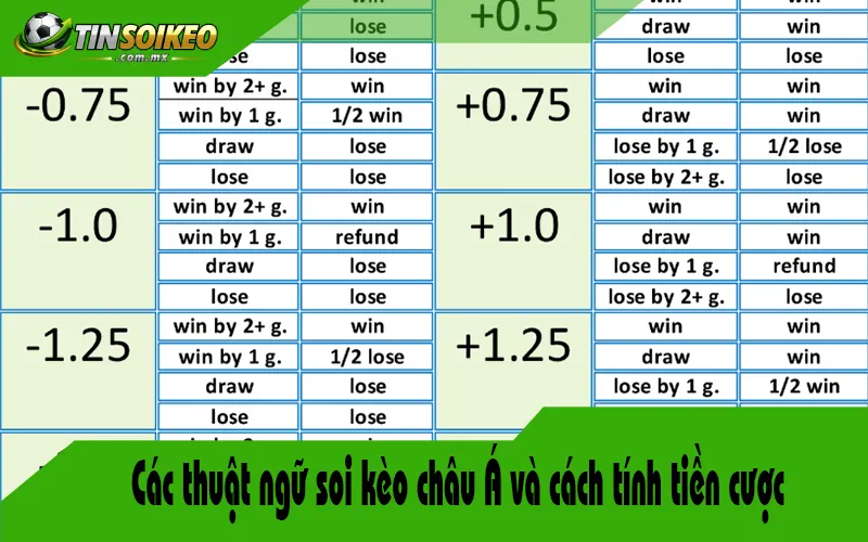 Các thuật ngữ soi kèo châu Á và cách tính tiền cược Các thuật ngữ soi kèo châu Á và cách tính tiền cược