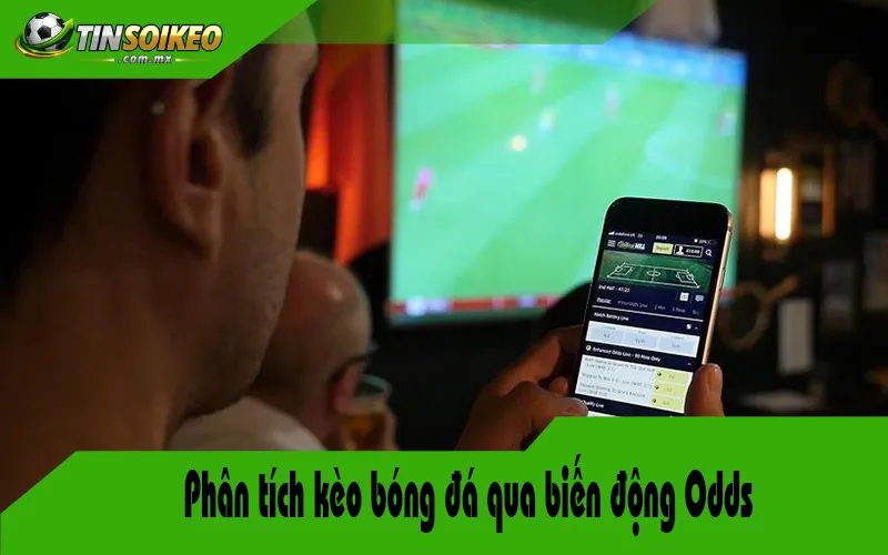 Phân tích kèo bóng đá qua biến động Odds Phân tích kèo bóng đá qua biến động Odds